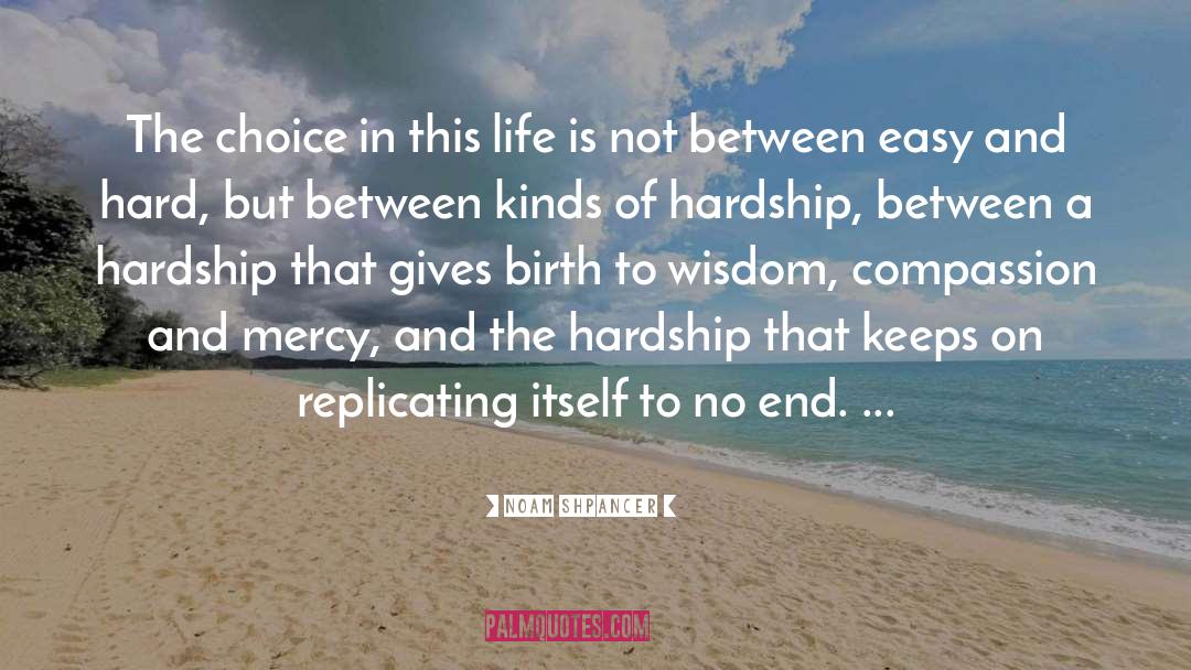 Noam Shpancer Quotes: The choice in this life