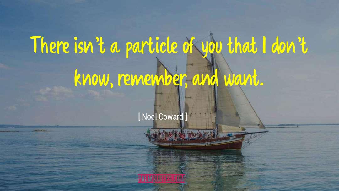 Noel Coward Quotes: There isn't a particle of