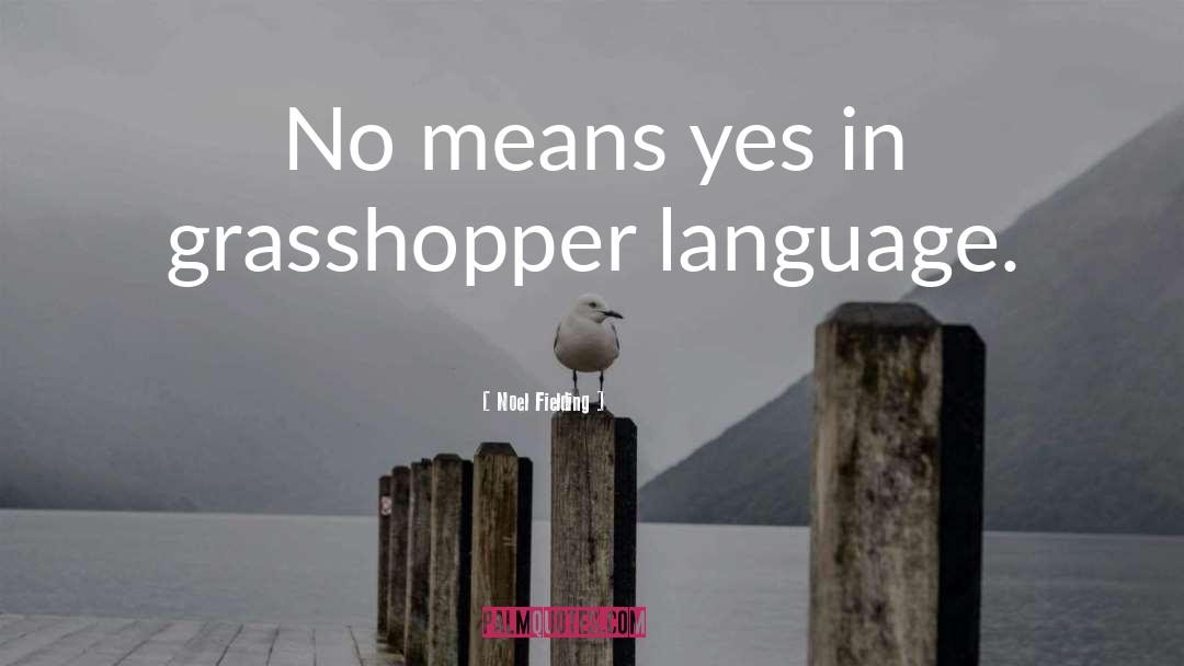 Noel Fielding Quotes: No means yes in grasshopper