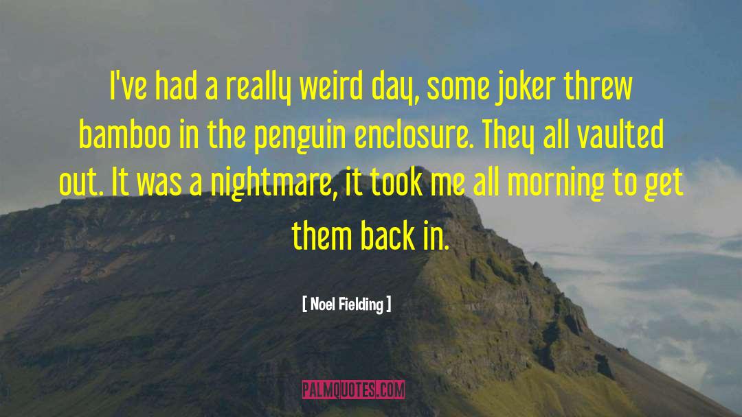 Noel Fielding Quotes: I've had a really weird