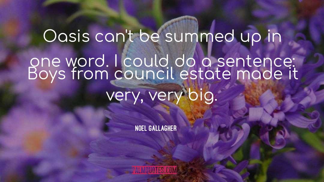 Noel Gallagher Quotes: Oasis can't be summed up