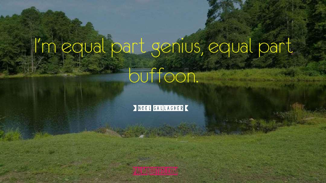 Noel Gallagher Quotes: I'm equal part genius, equal