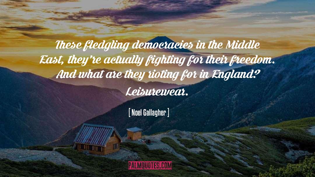 Noel Gallagher Quotes: These fledgling democracies in the