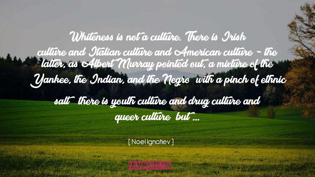 Noel Ignatiev Quotes: Whiteness is not a culture.