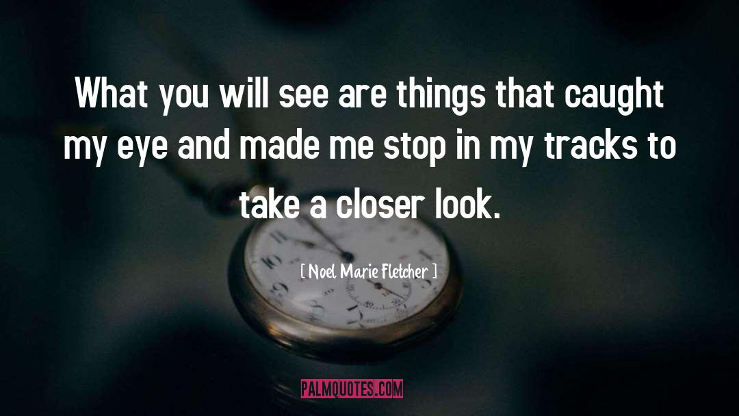 Noel Marie Fletcher Quotes: What you will see are