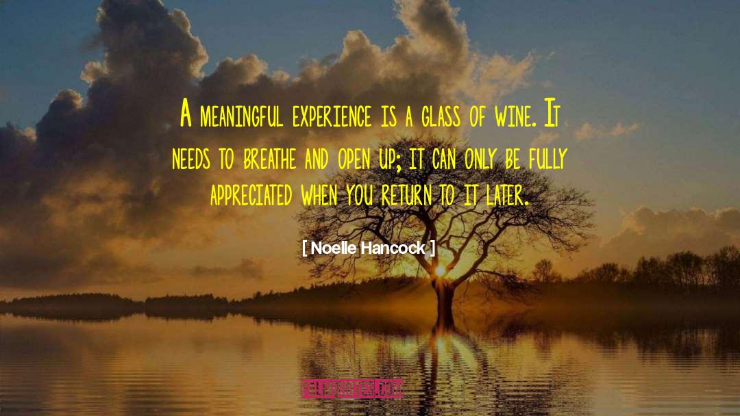Noelle Hancock Quotes: A meaningful experience is a