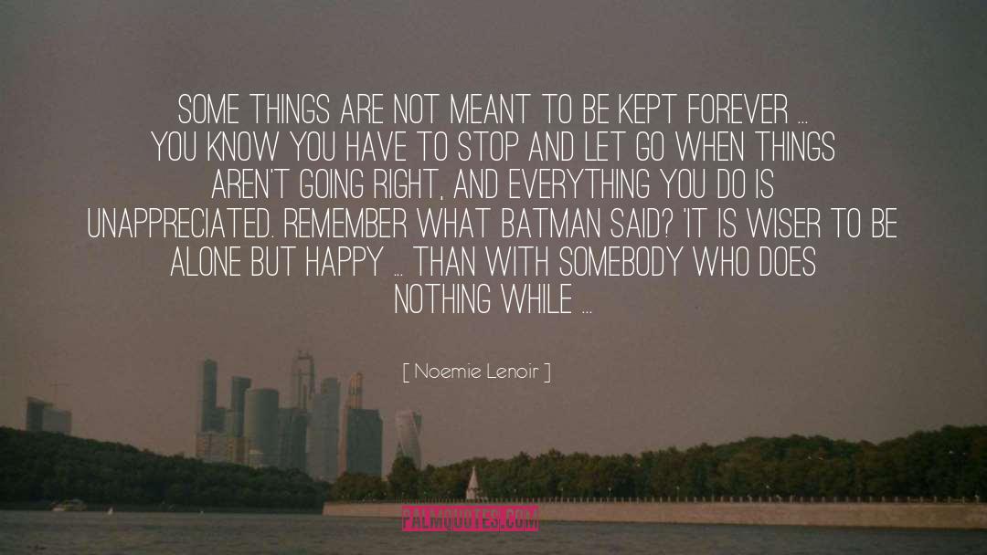 Noemie Lenoir Quotes: Some things are not meant