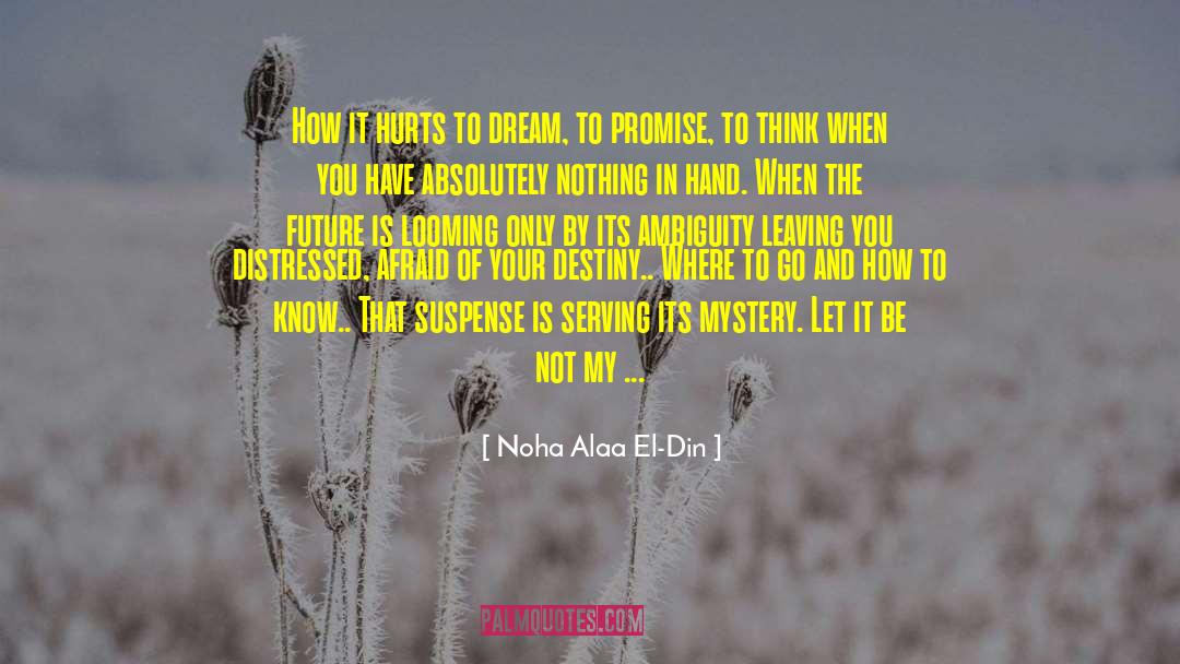 Noha Alaa El-Din Quotes: How it hurts to dream,