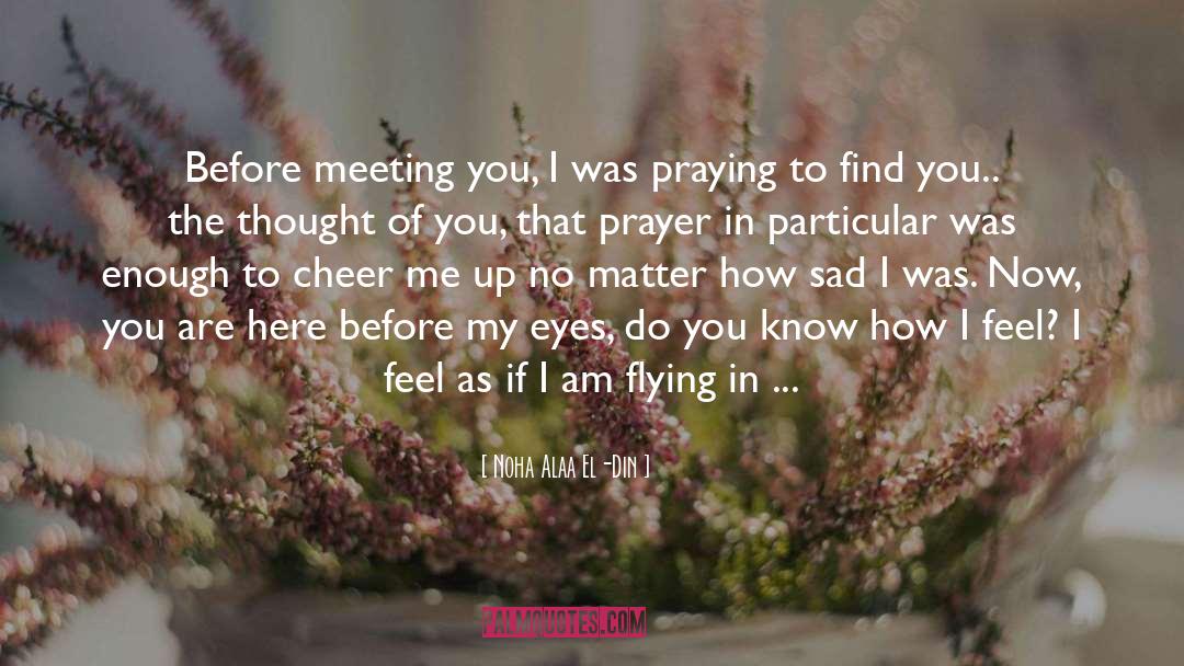 Noha Alaa El-Din Quotes: Before meeting you, I was