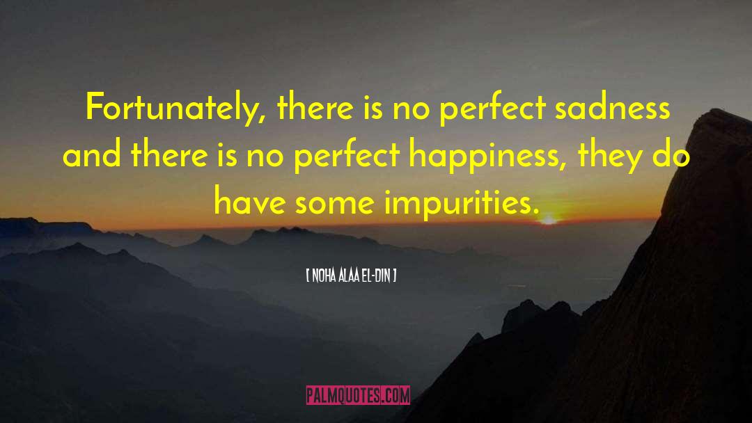 Noha Alaa El-Din Quotes: Fortunately, there is no perfect