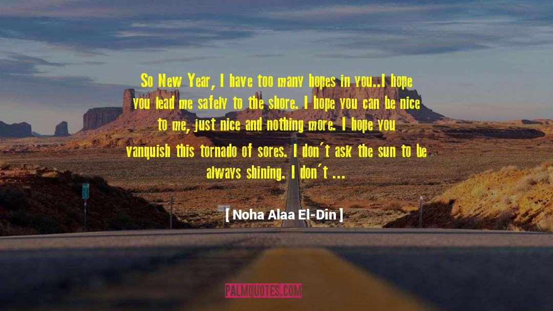 Noha Alaa El-Din Quotes: So New Year, I have