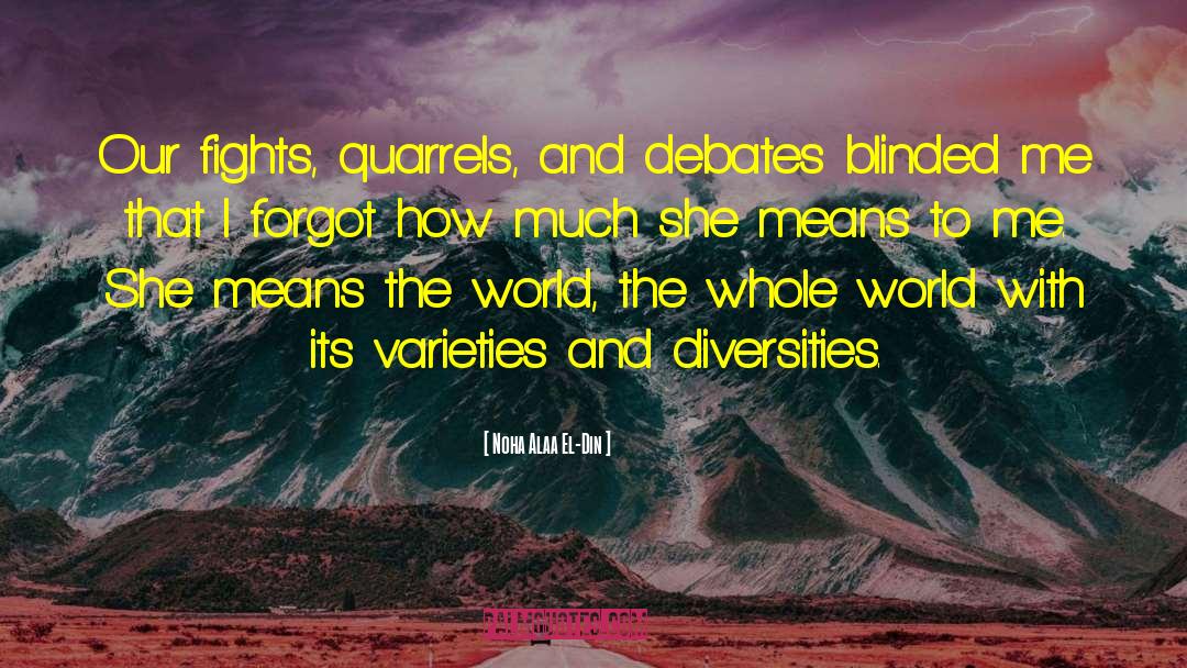 Noha Alaa El-Din Quotes: Our fights, quarrels, and debates