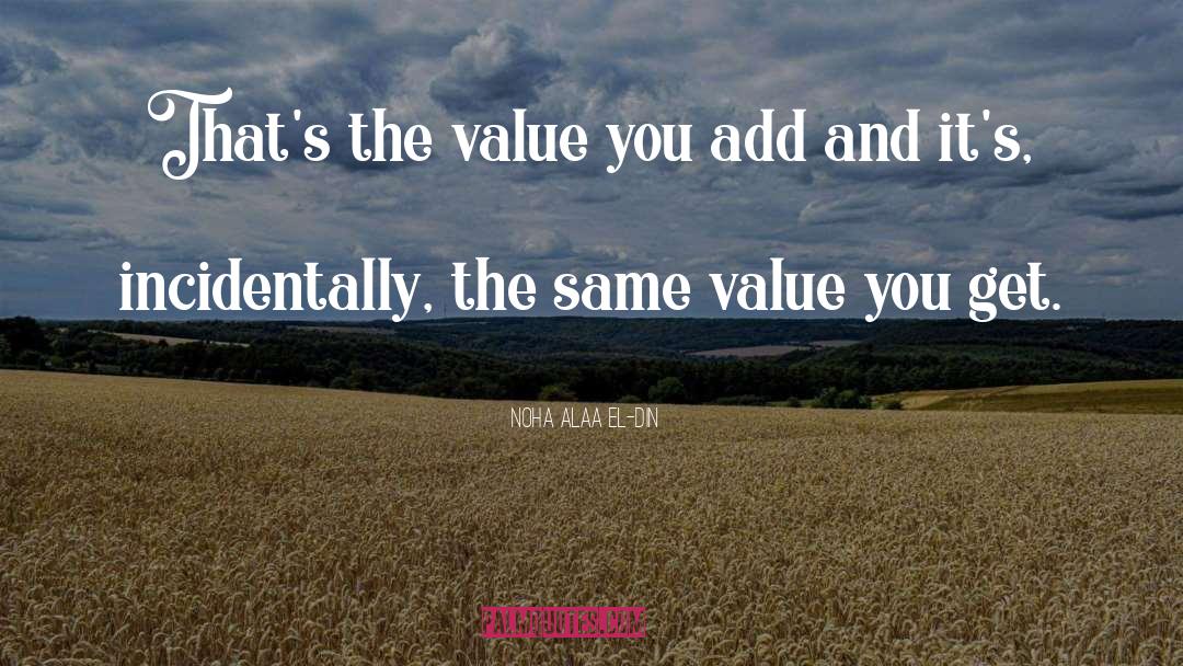 Noha Alaa El-Din Quotes: That's the value you add