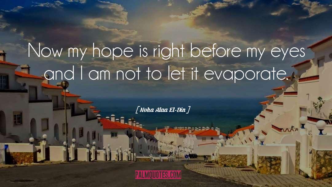 Noha Alaa El-Din Quotes: Now my hope is right