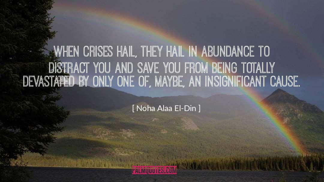 Noha Alaa El-Din Quotes: When crises hail, they hail