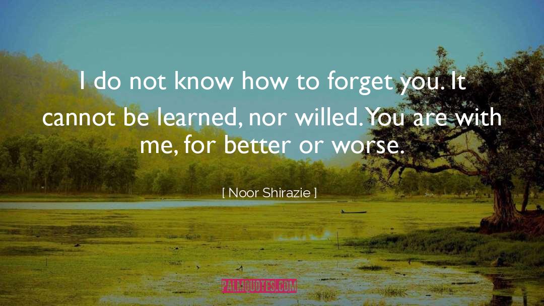 Noor Shirazie Quotes: I do not know how