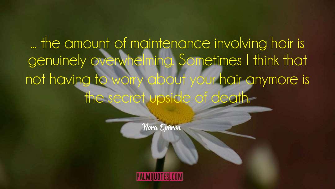 Nora Ephron Quotes: ... the amount of maintenance