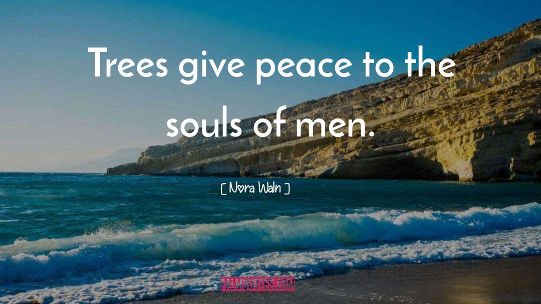Nora Waln Quotes: Trees give peace to the