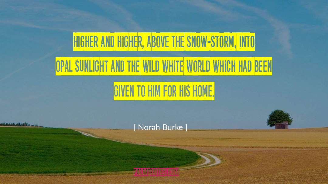 Norah Burke Quotes: Higher and higher, above the