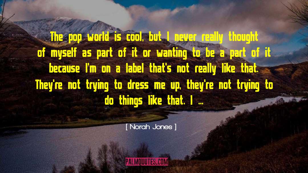 Norah Jones Quotes: The pop world is cool,