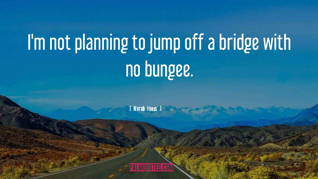 Norah Jones Quotes: I'm not planning to jump