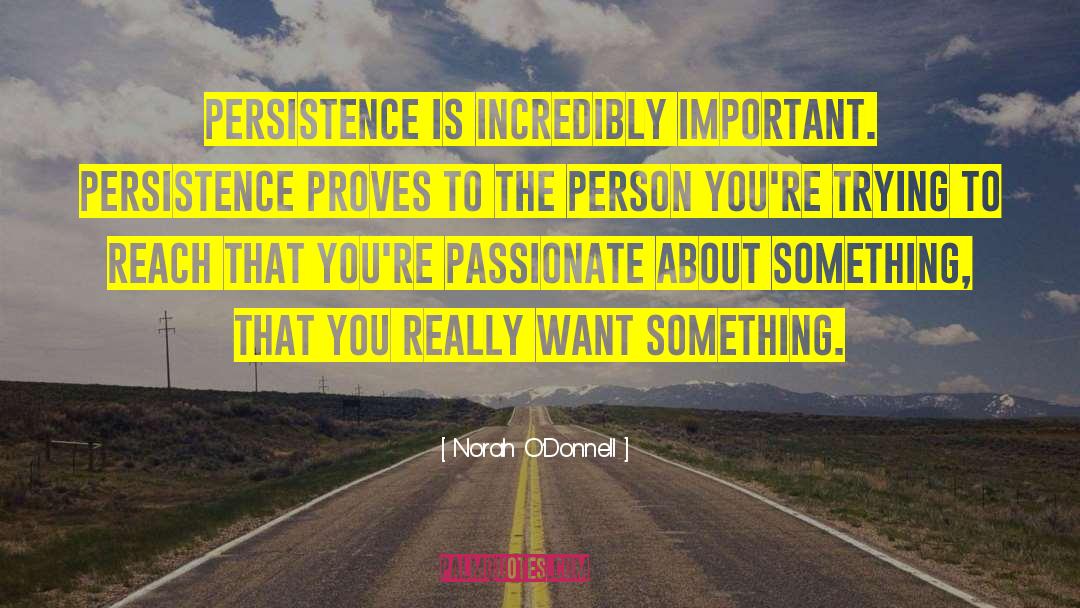 Norah O'Donnell Quotes: Persistence is incredibly important. Persistence