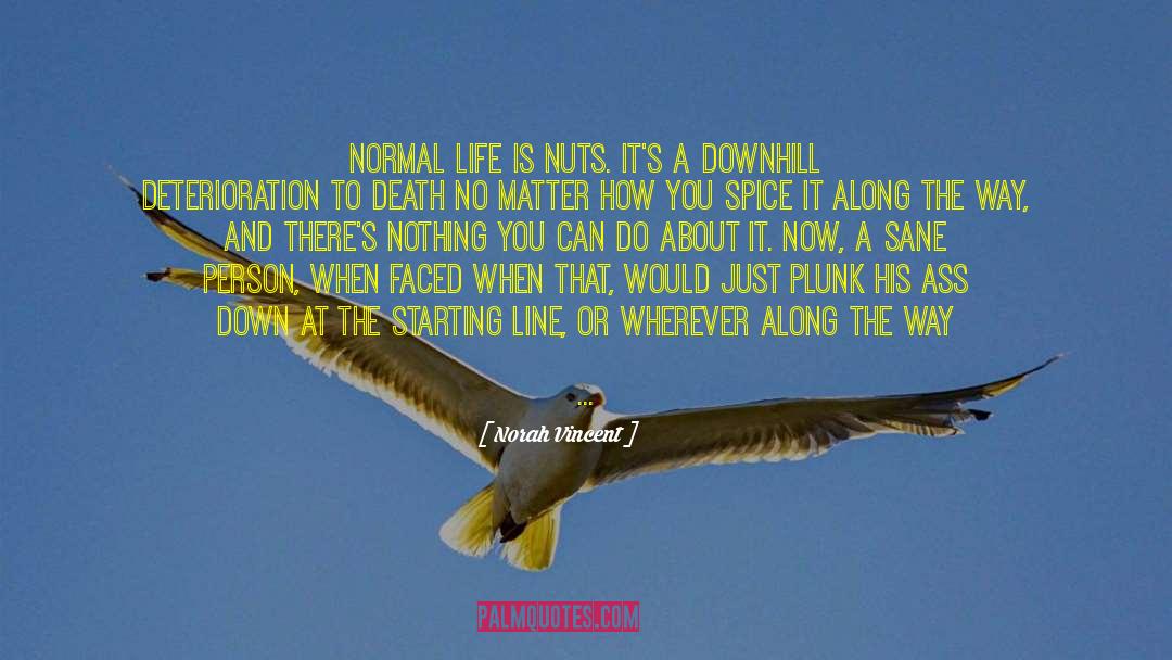 Norah Vincent Quotes: Normal life is nuts. It's