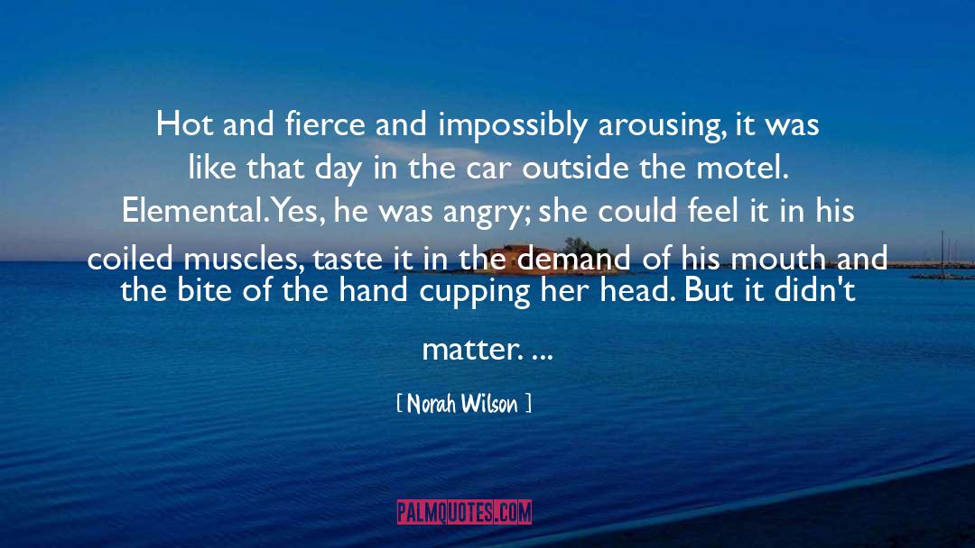 Norah Wilson Quotes: Hot and fierce and impossibly
