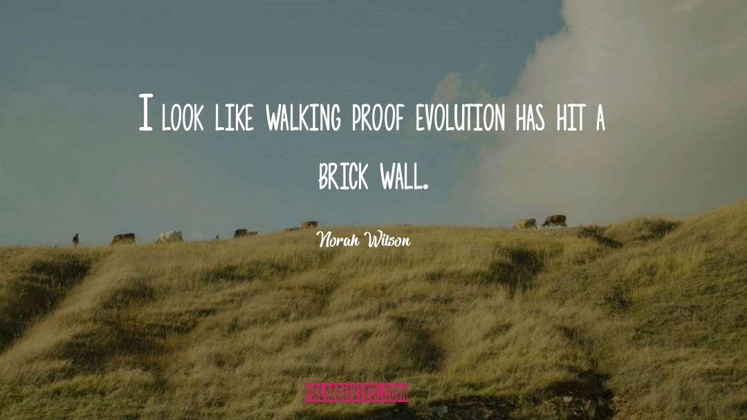 Norah Wilson Quotes: I look like walking proof