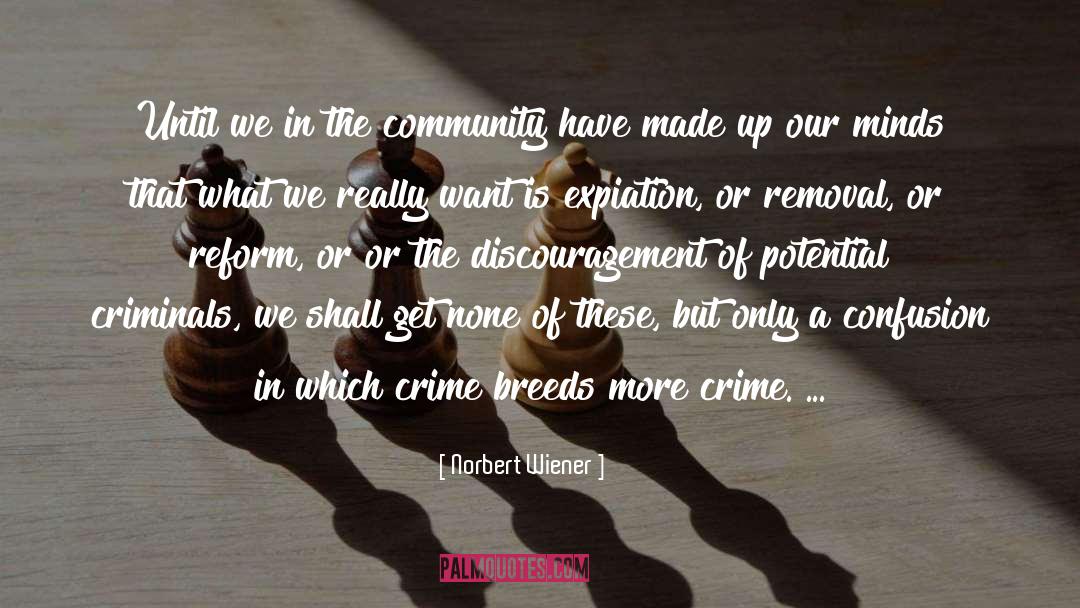Norbert Wiener Quotes: Until we in the community
