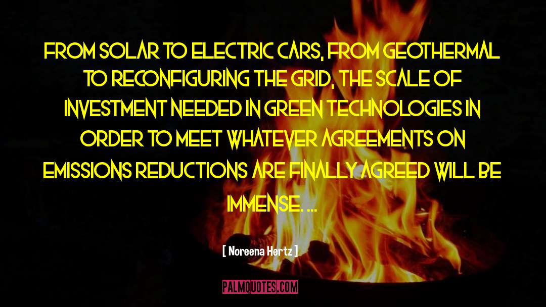 Noreena Hertz Quotes: From solar to electric cars,