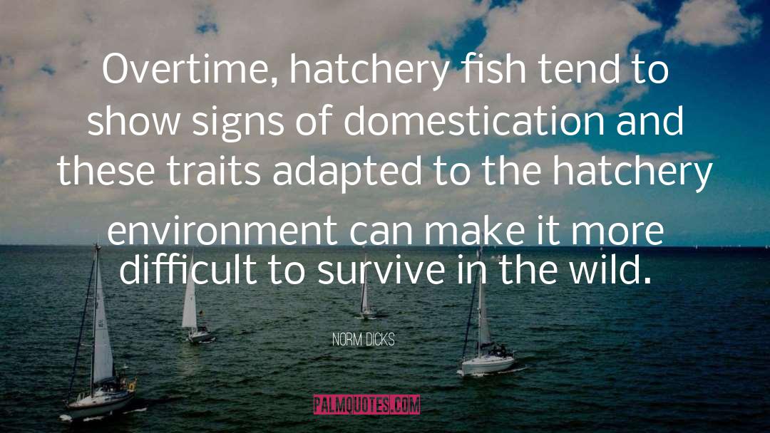 Norm Dicks Quotes: Overtime, hatchery fish tend to