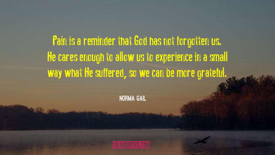 Norma Gail Quotes: Pain is a reminder that