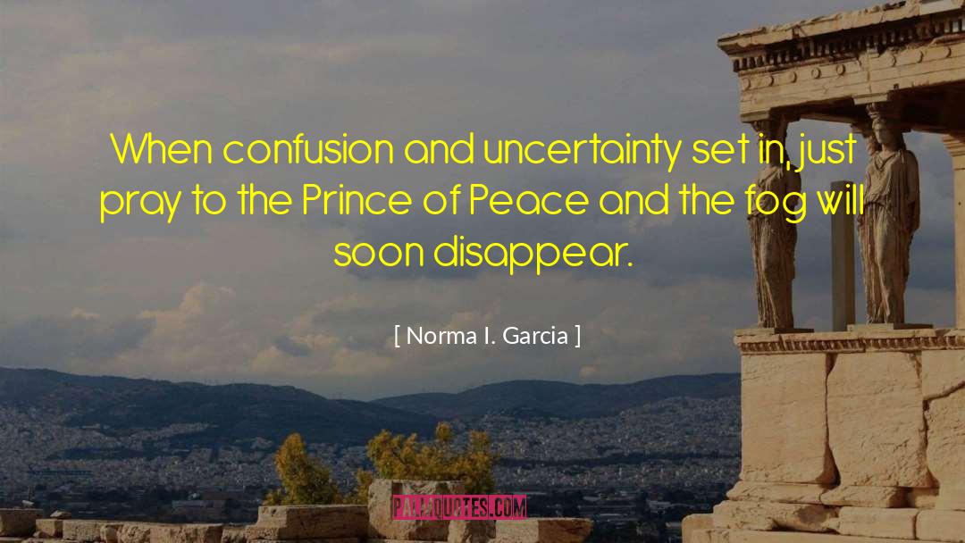 Norma I. Garcia Quotes: When confusion and uncertainty set