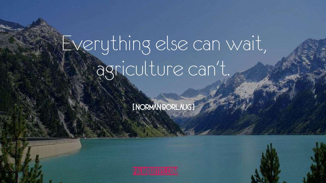 Norman Borlaug Quotes: Everything else can wait, agriculture