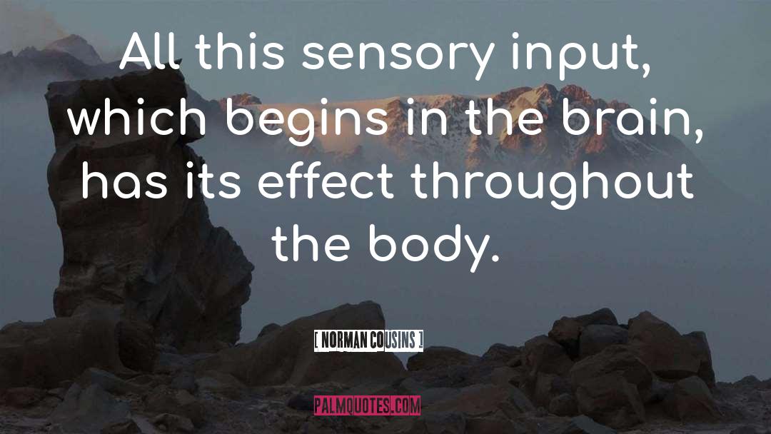 Norman Cousins Quotes: All this sensory input, which