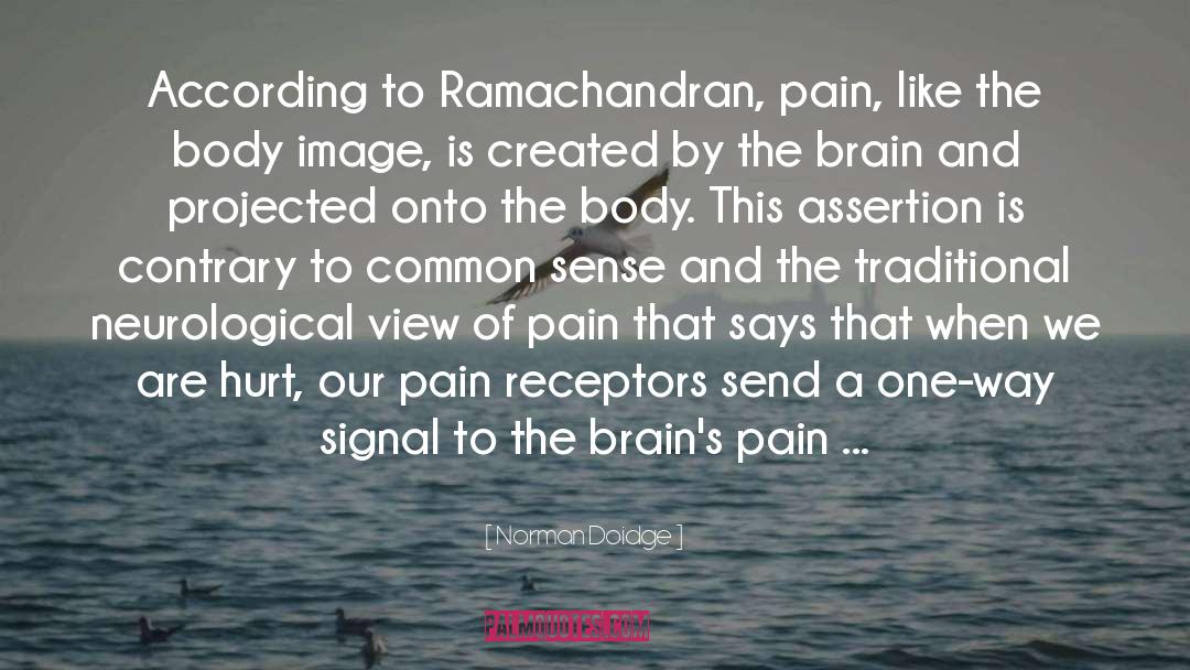 Norman Doidge Quotes: According to Ramachandran, pain, like