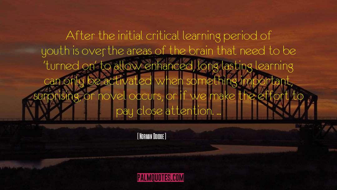 Norman Doidge Quotes: After the initial critical learning