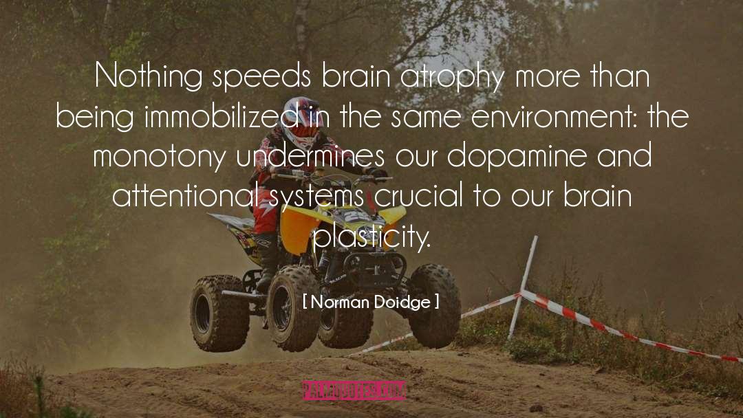 Norman Doidge Quotes: Nothing speeds brain atrophy more