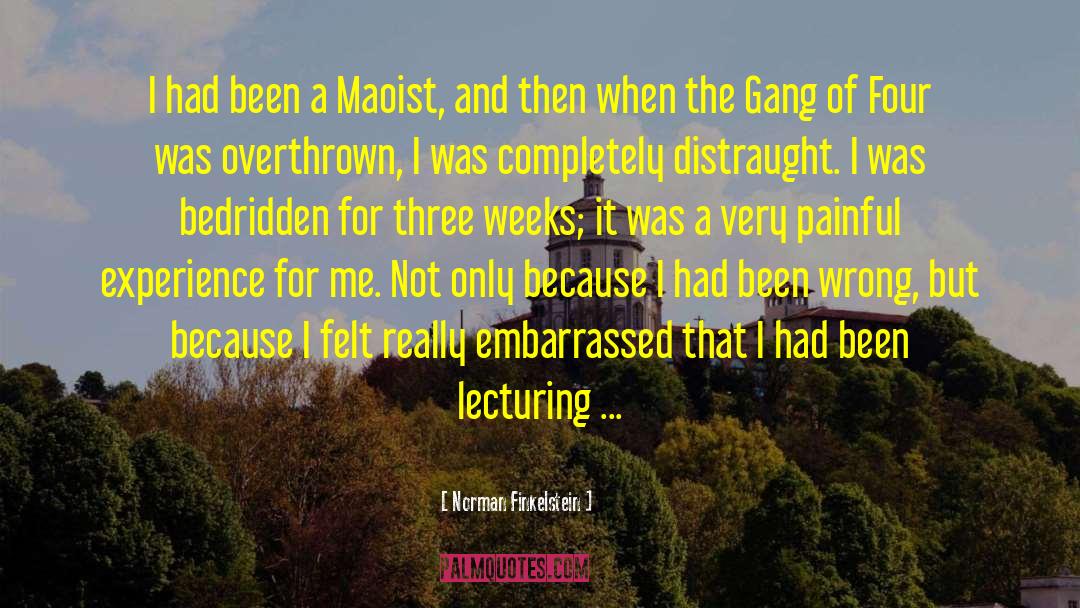 Norman Finkelstein Quotes: I had been a Maoist,