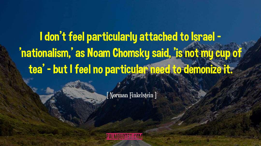 Norman Finkelstein Quotes: I don't feel particularly attached