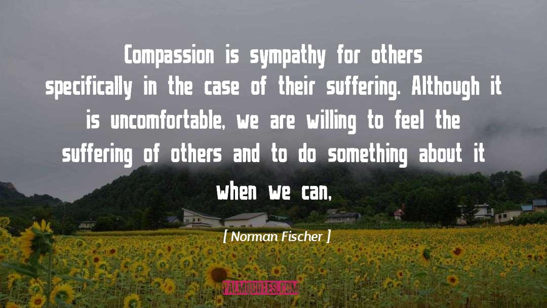 Norman Fischer Quotes: Compassion is sympathy for others