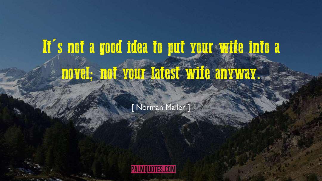 Norman Mailer Quotes: It's not a good idea