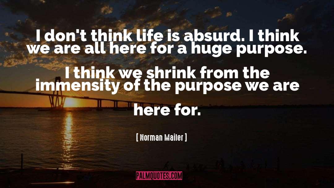 Norman Mailer Quotes: I don't think life is