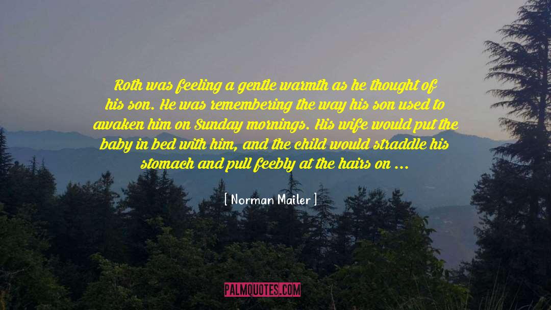Norman Mailer Quotes: Roth was feeling a gentle