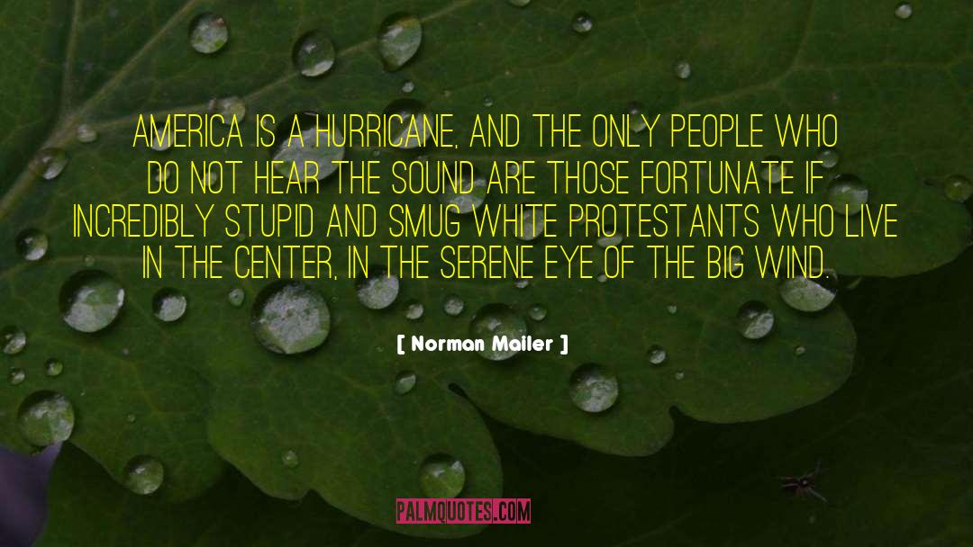 Norman Mailer Quotes: America is a hurricane, and