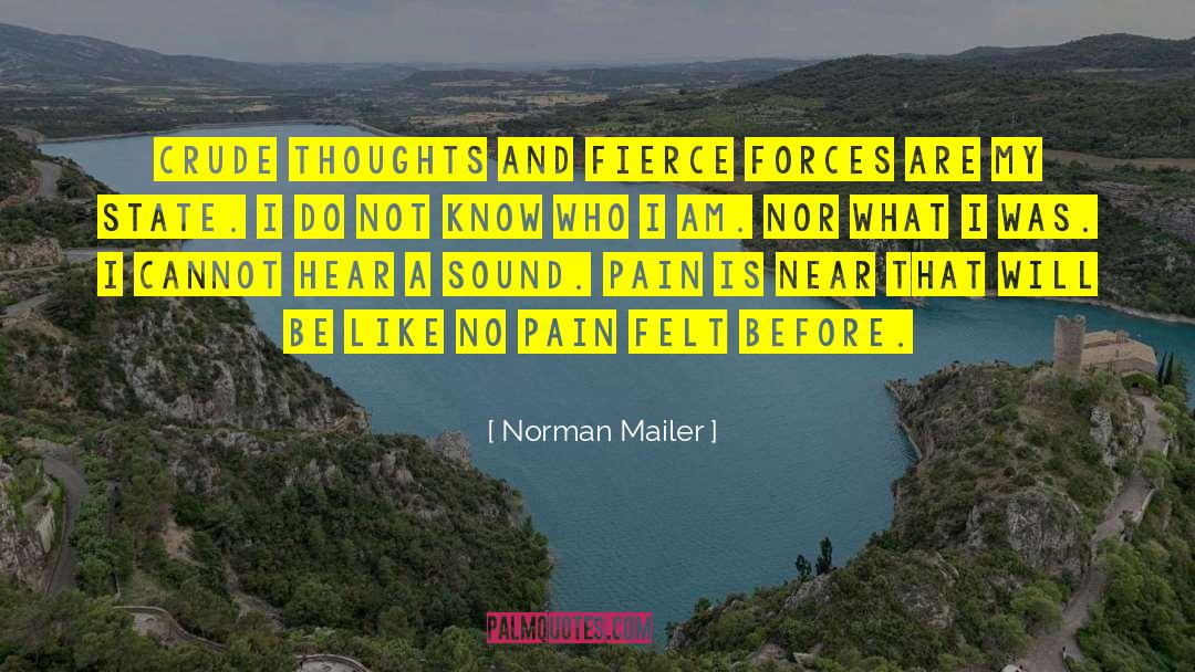 Norman Mailer Quotes: Crude thoughts and fierce forces