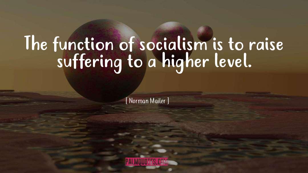 Norman Mailer Quotes: The function of socialism is