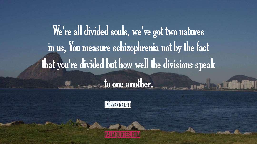 Norman Mailer Quotes: We're all divided souls, we've