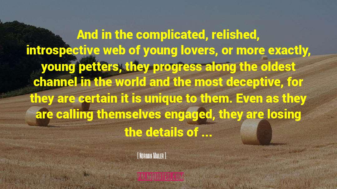 Norman Mailer Quotes: And in the complicated, relished,